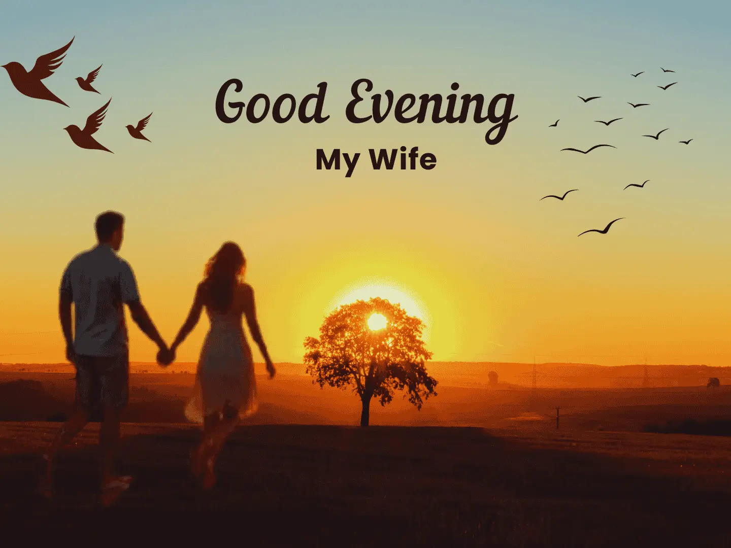 Good Evening Messages for Wife Images