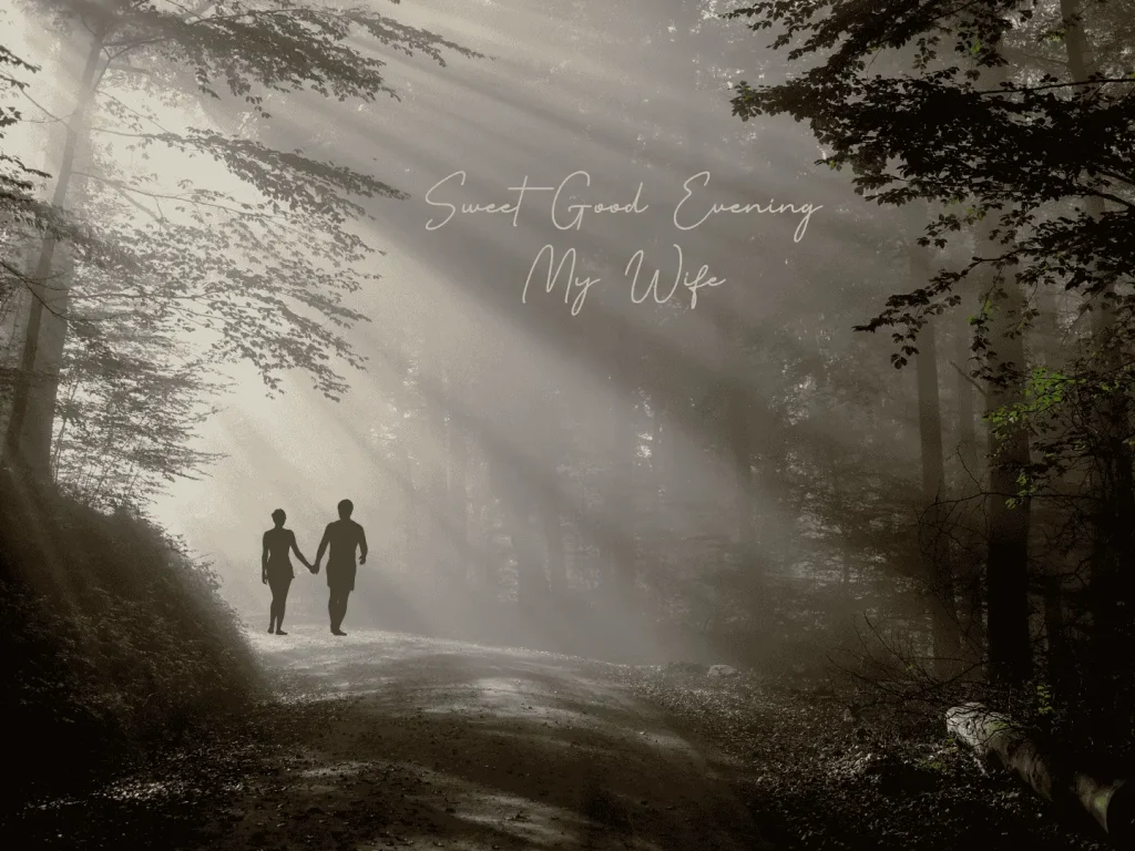 Sweet Good Evening Messages for Wife image