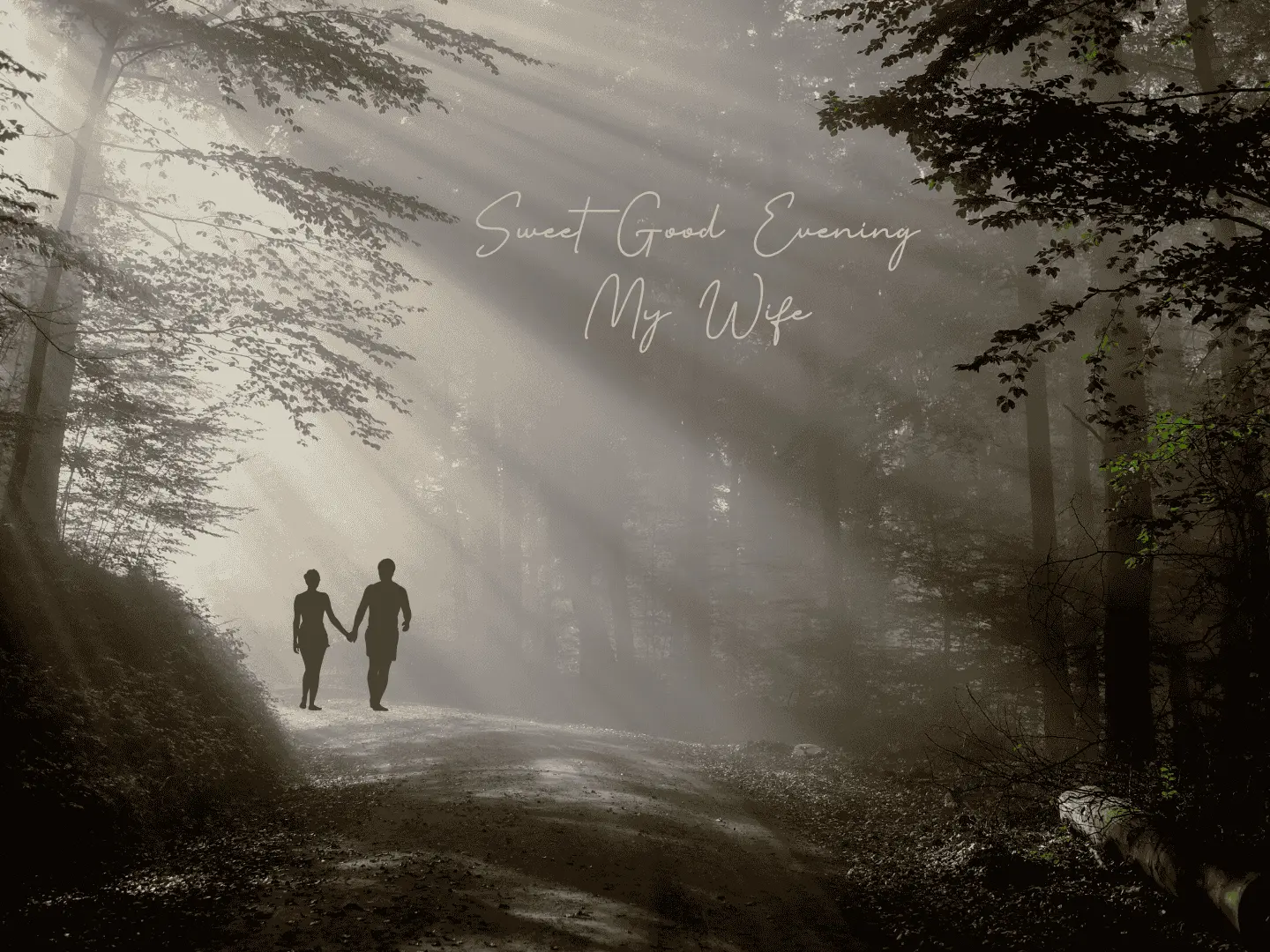 Sweet Good Evening Messages for Wife image