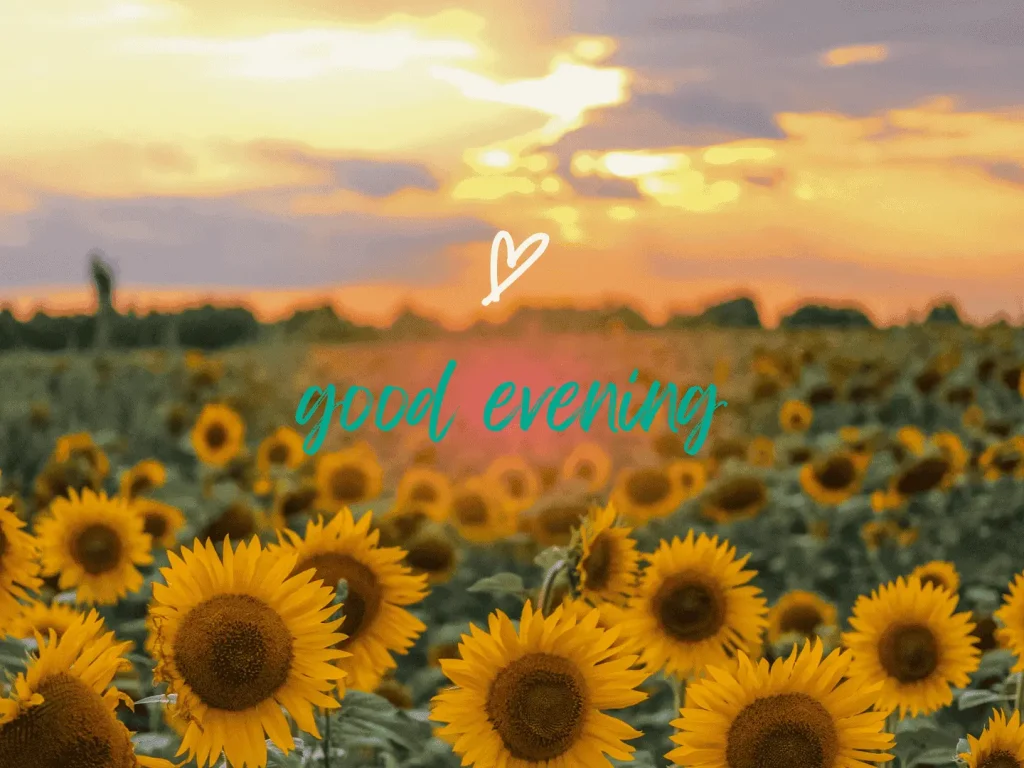 Good Evening Messages for Him image