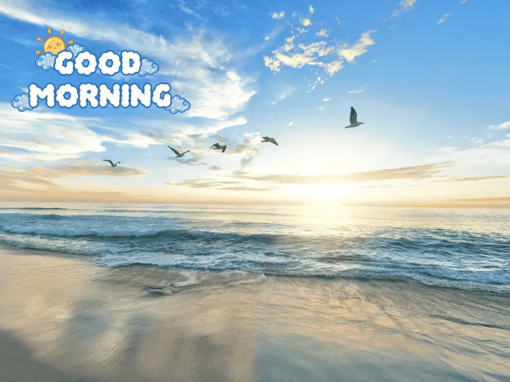 Good Morning Vibes image