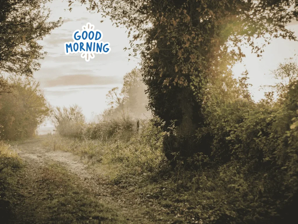 Romantic Good Morning image