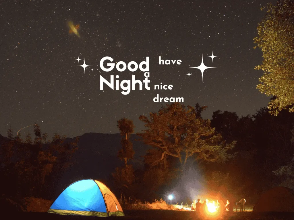 Good Night Messages for Best Friend image