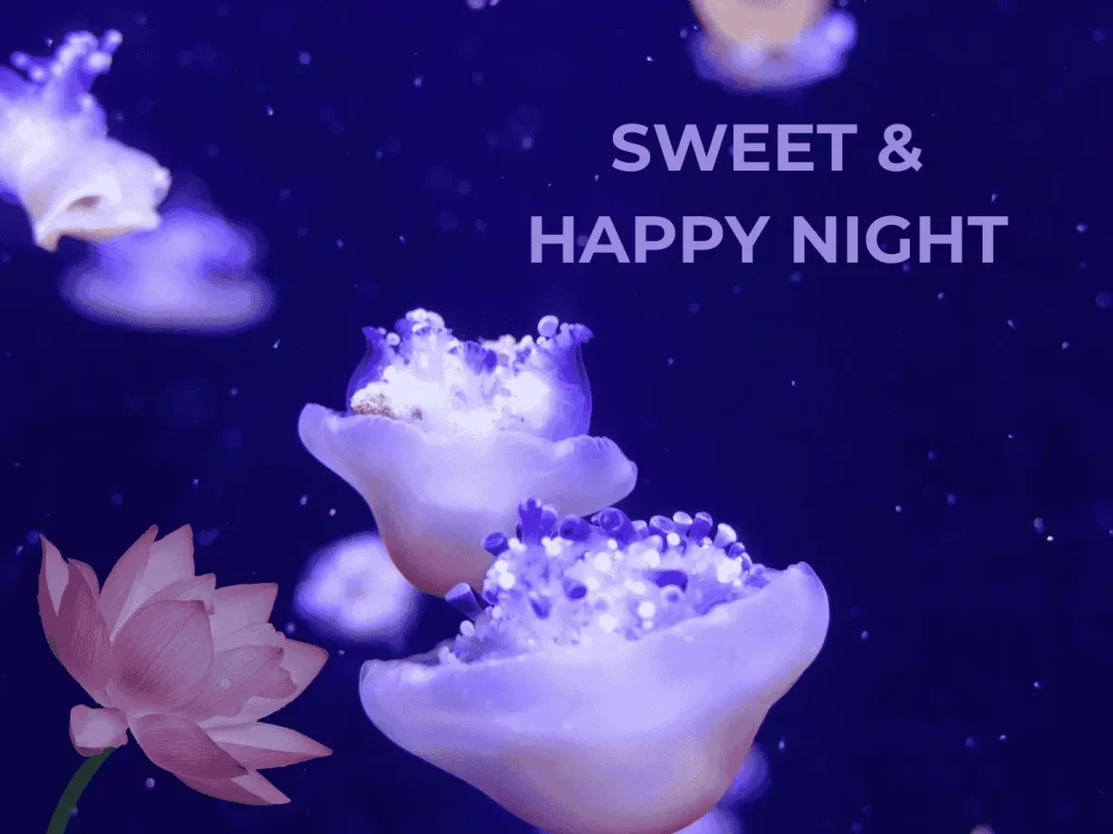 Good Night Messages for Her image